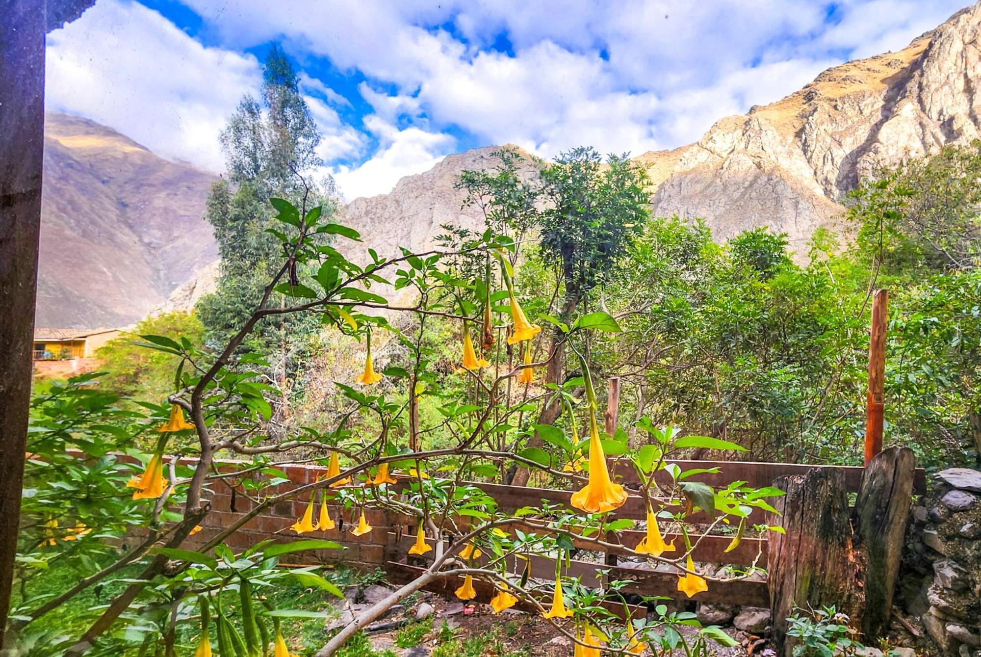 Peru Quechua'S Lodge Ollantaytambo Exteriér fotografie